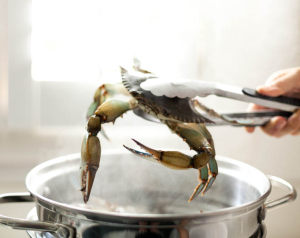 crab-boil-3