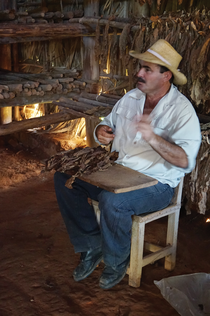 The owner of a tobacco plantation in Viñales rolls leaves for one of those famous Cuban cigars. Photo by Anne Ellis