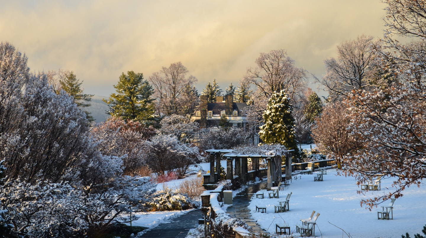 Photograph by Wave Hill