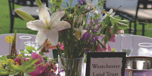 Table Setting