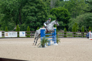 Image from Ox Ridge Charity Horse Show