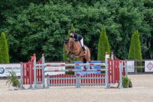 Image from Ox Ridge Charity Horse Show