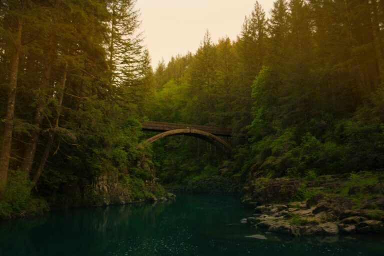 ruben-mishchuk-xjhU-cPOlP0-unsplash-2